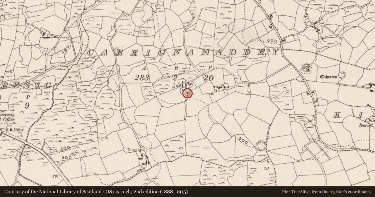 Ordnance Survey six-inch map, 2nd edition (1888–1915) covering the location of Ringfort - rath, Carrignamaddry, County Cork, with a pin at the register's coordinates