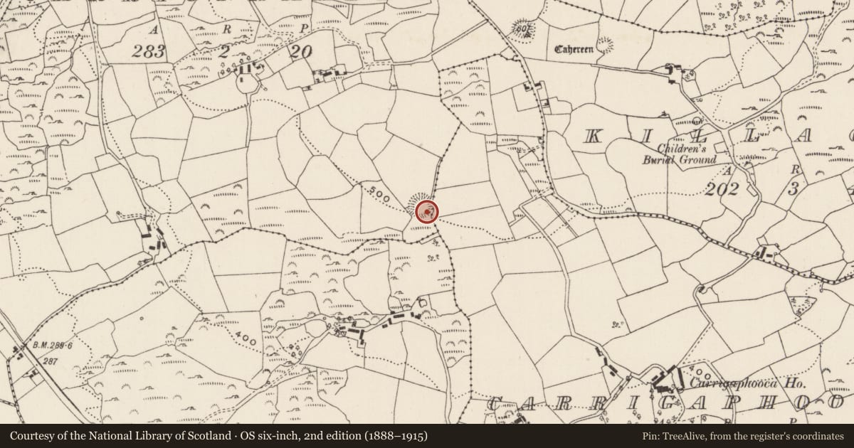 Ordnance Survey six-inch map, 2nd edition (1888–1915) covering the location of Souterrain, Carrignamaddry, County Cork, with a pin at the register's coordinates