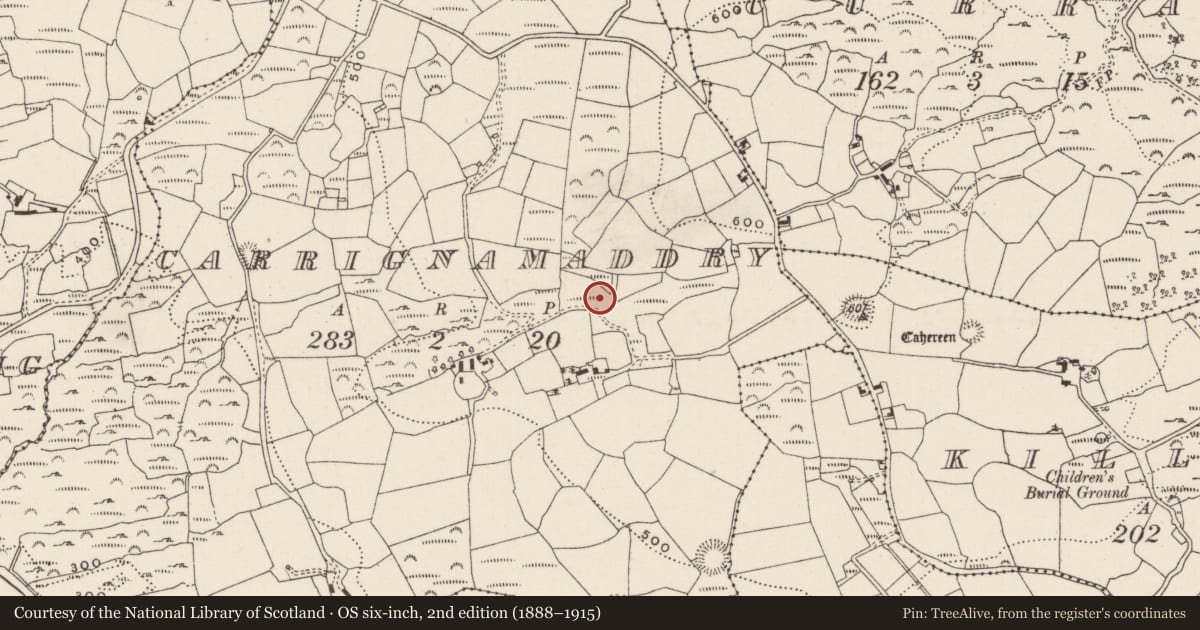 Ordnance Survey six-inch map, 2nd edition (1888–1915) covering the location of Fulacht fia, Carrignamaddry, County Cork, with a pin at the register's coordinates