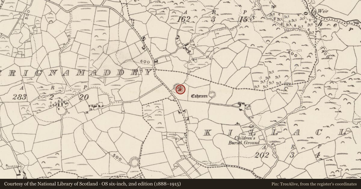 Ordnance Survey six-inch map, 2nd edition (1888–1915) covering the location of Ringfort - cashel, Killaclug, County Cork, with a pin at the register's coordinates