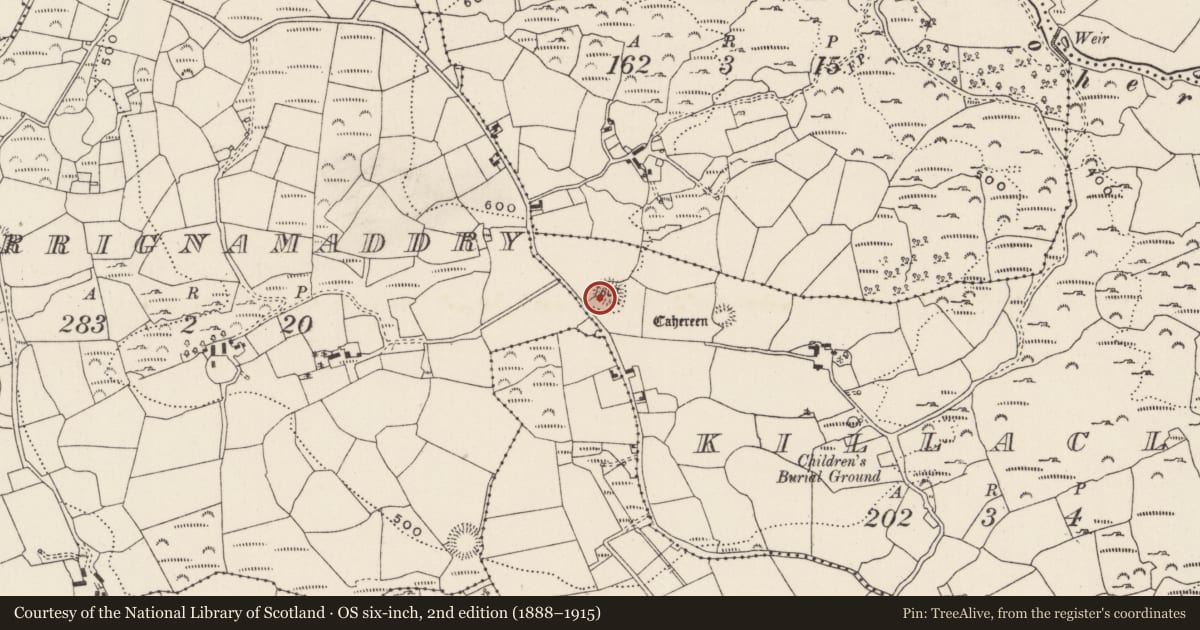 Ordnance Survey six-inch map, 2nd edition (1888–1915) covering the location of Standing stone, Killaclug, County Cork, with a pin at the register's coordinates