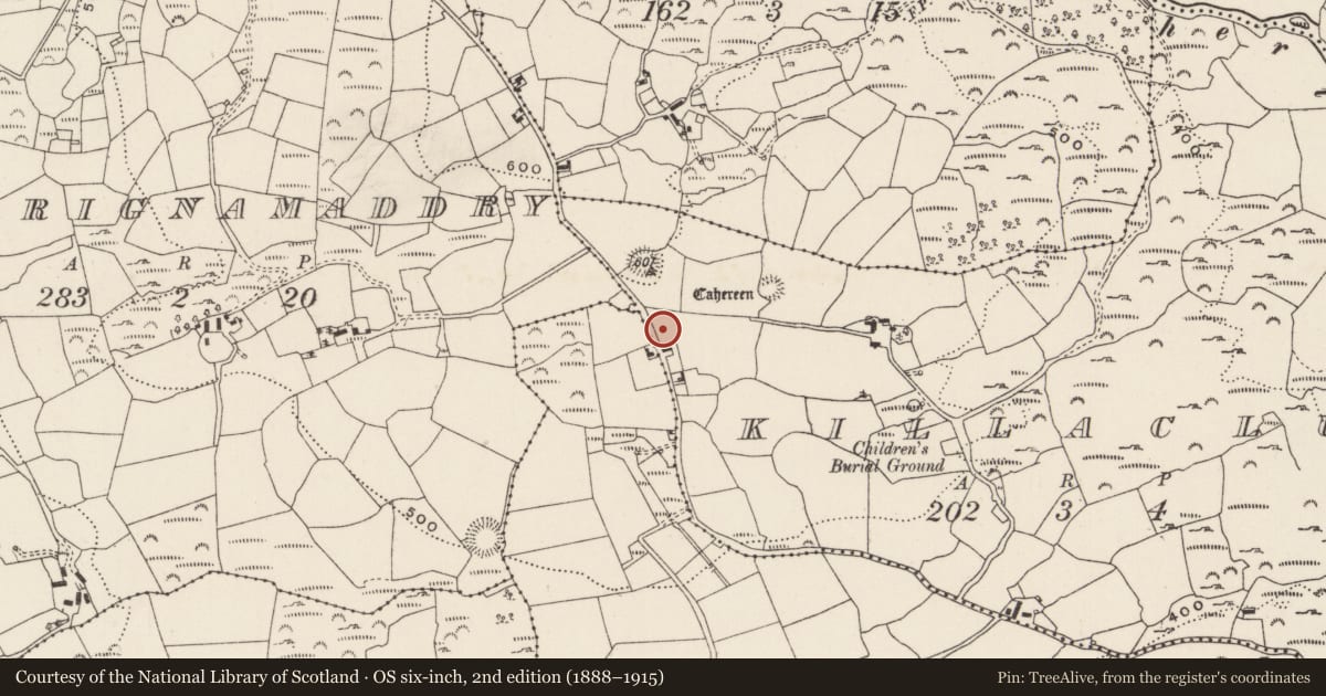Ordnance Survey six-inch map, 2nd edition (1888–1915) covering the location of Standing stone, Killaclug, County Cork, with a pin at the register's coordinates