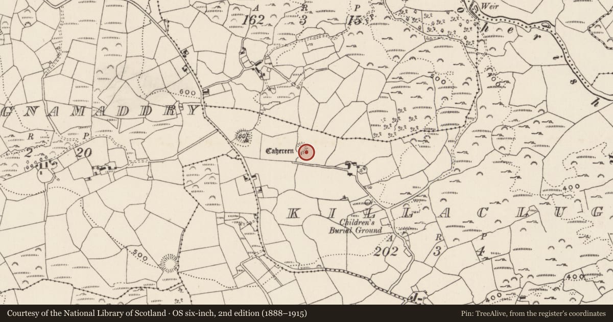 Ordnance Survey six-inch map, 2nd edition (1888–1915) covering the location of Ringfort - rath, Killaclug, County Cork, with a pin at the register's coordinates