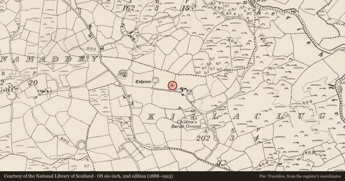 Ordnance Survey six-inch map, 2nd edition (1888–1915) covering the location of Standing stone, Killaclug, County Cork, with a pin at the register's coordinates