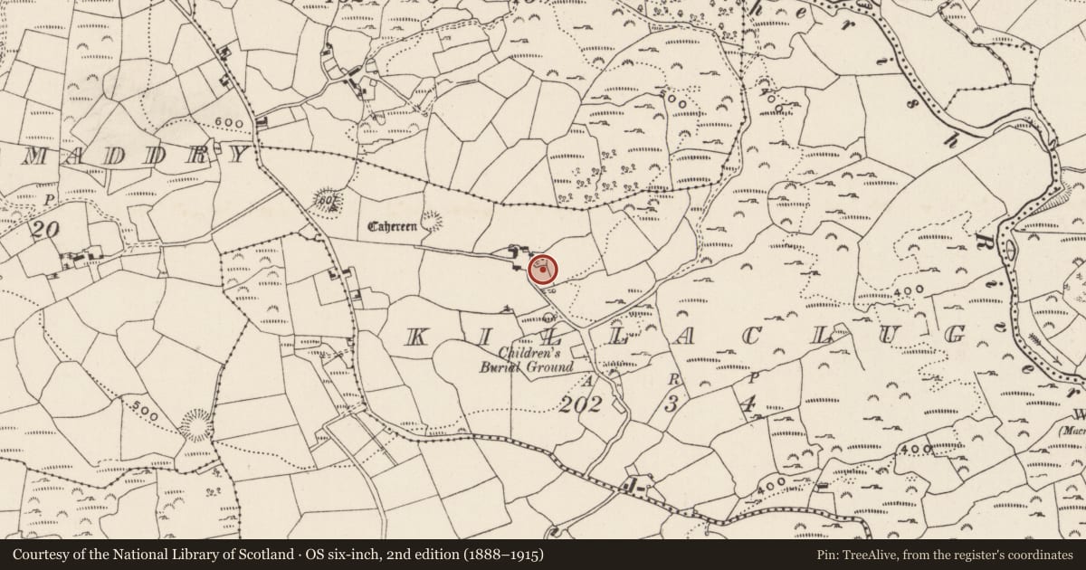 Ordnance Survey six-inch map, 2nd edition (1888–1915) covering the location of Ringfort - rath, Killaclug, County Cork, with a pin at the register's coordinates