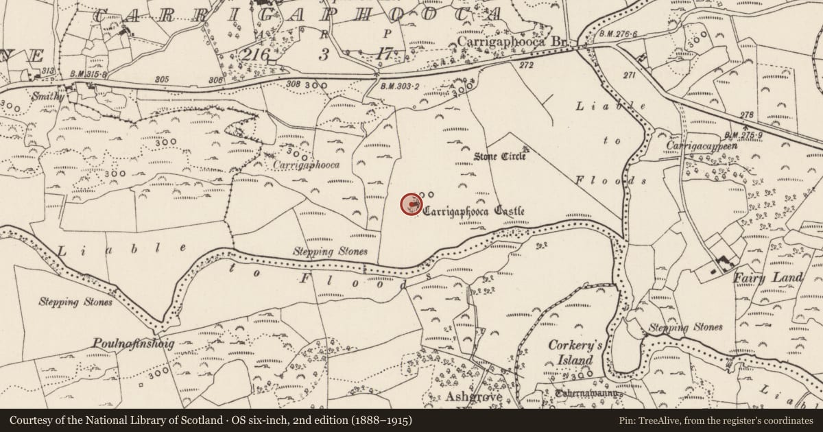 Ordnance Survey six-inch map, 2nd edition (1888–1915) covering the location of Castle - tower house, Carrigaphooca, County Cork, with a pin at the register's coordinates