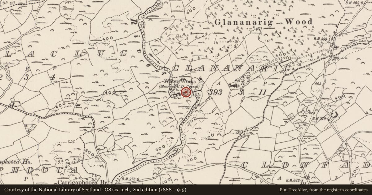 Ordnance Survey six-inch map, 2nd edition (1888–1915) covering the location of Mass-rock, Glananarig, County Cork, with a pin at the register's coordinates