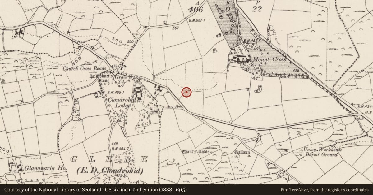 Ordnance Survey six-inch map, 2nd edition (1888–1915) covering the location of Ringfort - rath, Ardnacrushy, County Cork, with a pin at the register's coordinates