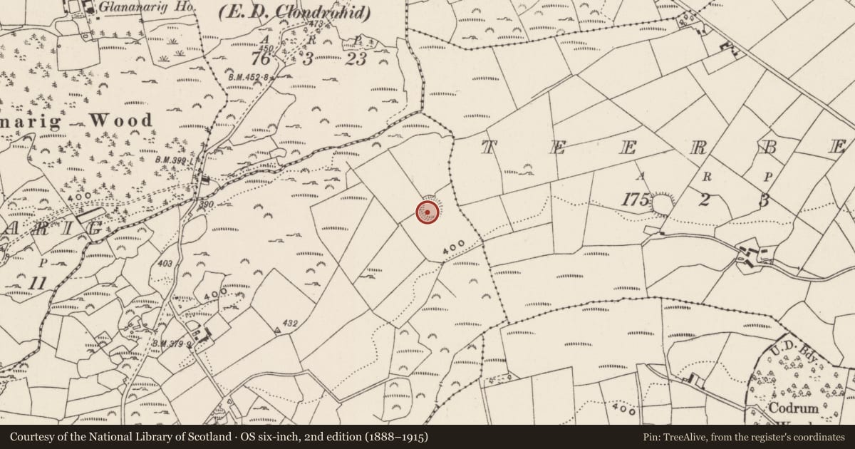 Ordnance Survey six-inch map, 2nd edition (1888–1915) covering the location of Ringfort - rath, Clonfadda, County Cork, with a pin at the register's coordinates
