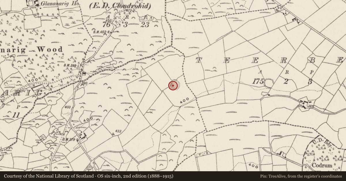 Ordnance Survey six-inch map, 2nd edition (1888–1915) covering the location of Souterrain, Clonfadda, County Cork, with a pin at the register's coordinates