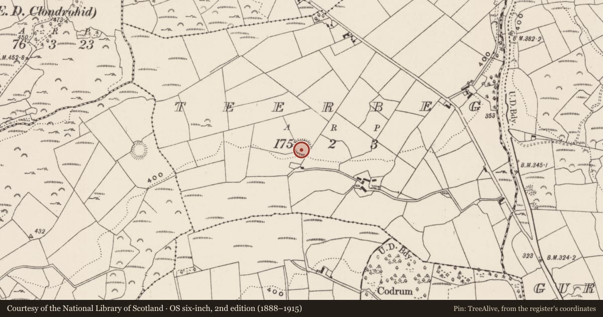 Ordnance Survey six-inch map, 2nd edition (1888–1915) covering the location of Ringfort - rath, Teerbeg, County Cork, with a pin at the register's coordinates