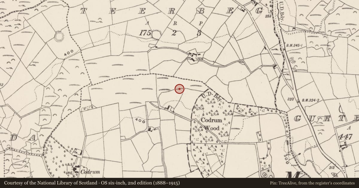 Ordnance Survey six-inch map, 2nd edition (1888–1915) covering the location of Fulacht fia, Codrum, County Cork, with a pin at the register's coordinates