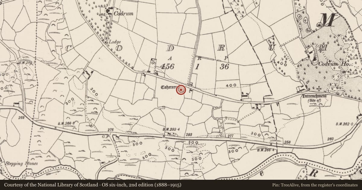 Ordnance Survey six-inch map, 2nd edition (1888–1915) covering the location of Ringfort - rath, Codrum, County Cork, with a pin at the register's coordinates
