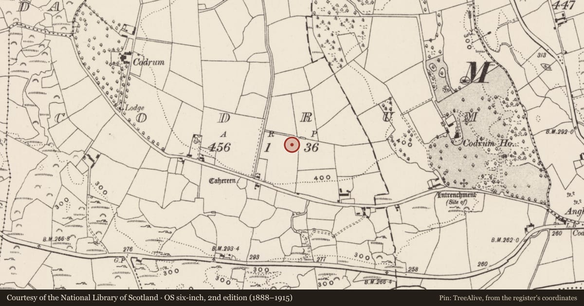 Ordnance Survey six-inch map, 2nd edition (1888–1915) covering the location of Ringfort - rath, Codrum, County Cork, with a pin at the register's coordinates