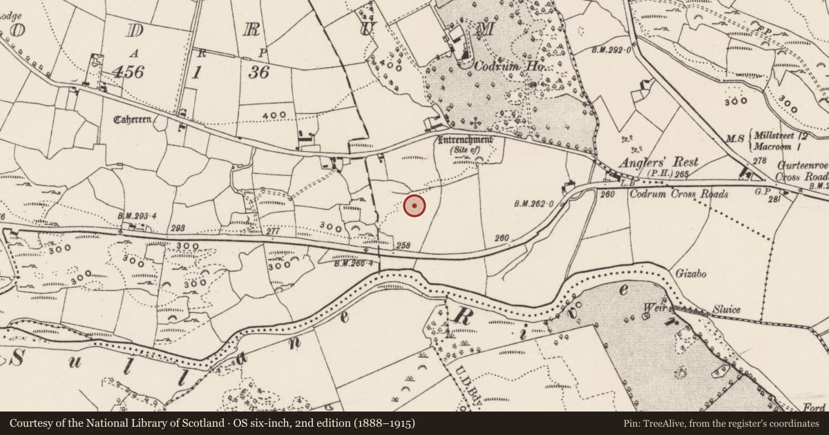 Ordnance Survey six-inch map, 2nd edition (1888–1915) covering the location of Standing stone, Codrum, County Cork, with a pin at the register's coordinates