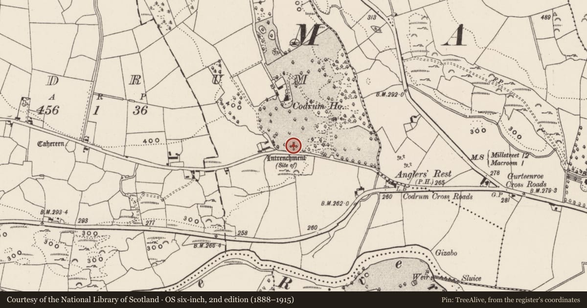 Ordnance Survey six-inch map, 2nd edition (1888–1915) covering the location of Ringfort - rath, Codrum, County Cork, with a pin at the register's coordinates