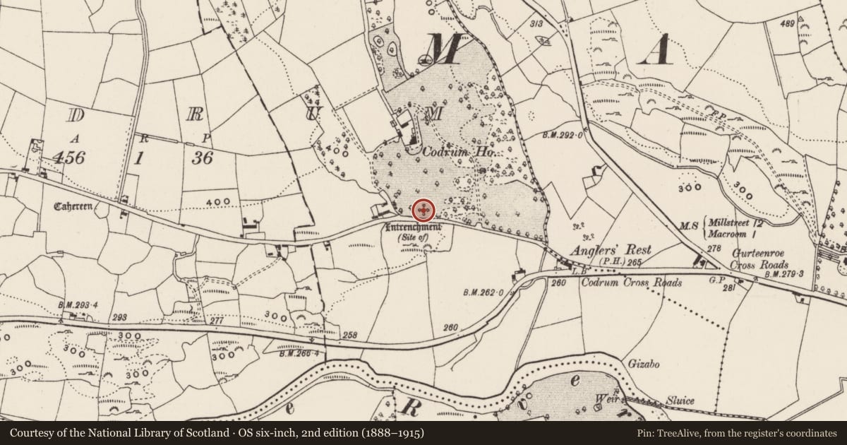 Ordnance Survey six-inch map, 2nd edition (1888–1915) covering the location of Souterrain, Codrum, County Cork, with a pin at the register's coordinates