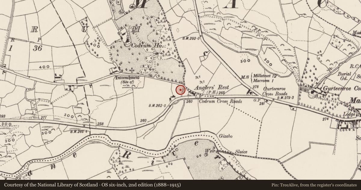 Ordnance Survey six-inch map, 2nd edition (1888–1915) covering the location of Fulacht fia, Codrum, County Cork, with a pin at the register's coordinates