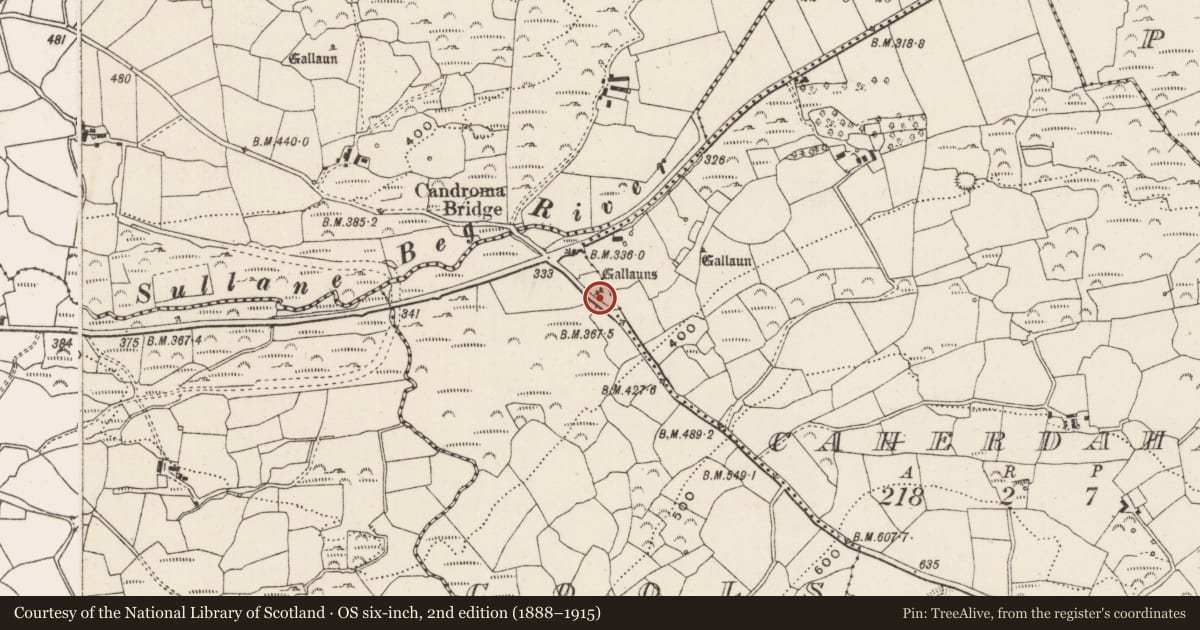 Ordnance Survey six-inch map, 2nd edition (1888–1915) covering the location of Standing stone - pair, Na Cúlacha, County Cork, with a pin at the register's coordinates
