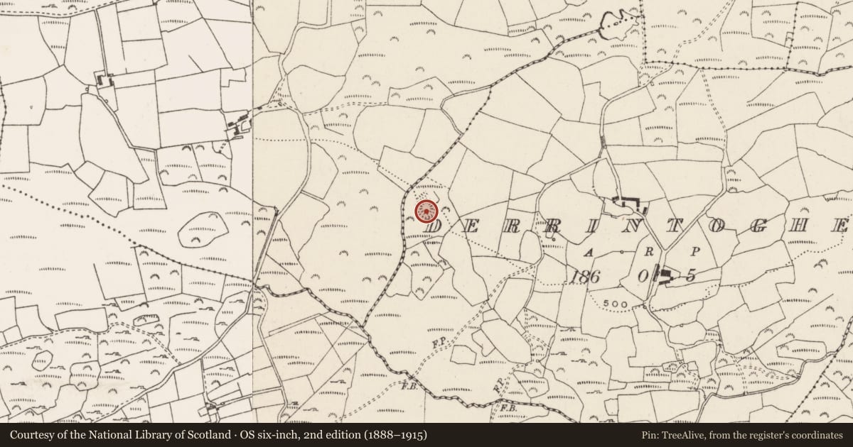 Ordnance Survey six-inch map, 2nd edition (1888–1915) covering the location of Ringfort - rath, Doire An Tóchair, County Cork, with a pin at the register's coordinates