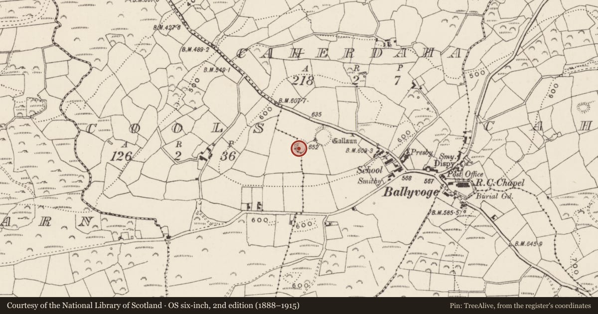 Ordnance Survey six-inch map, 2nd edition (1888–1915) covering the location of Ringfort - rath, Cathair Daithí, County Cork, with a pin at the register's coordinates