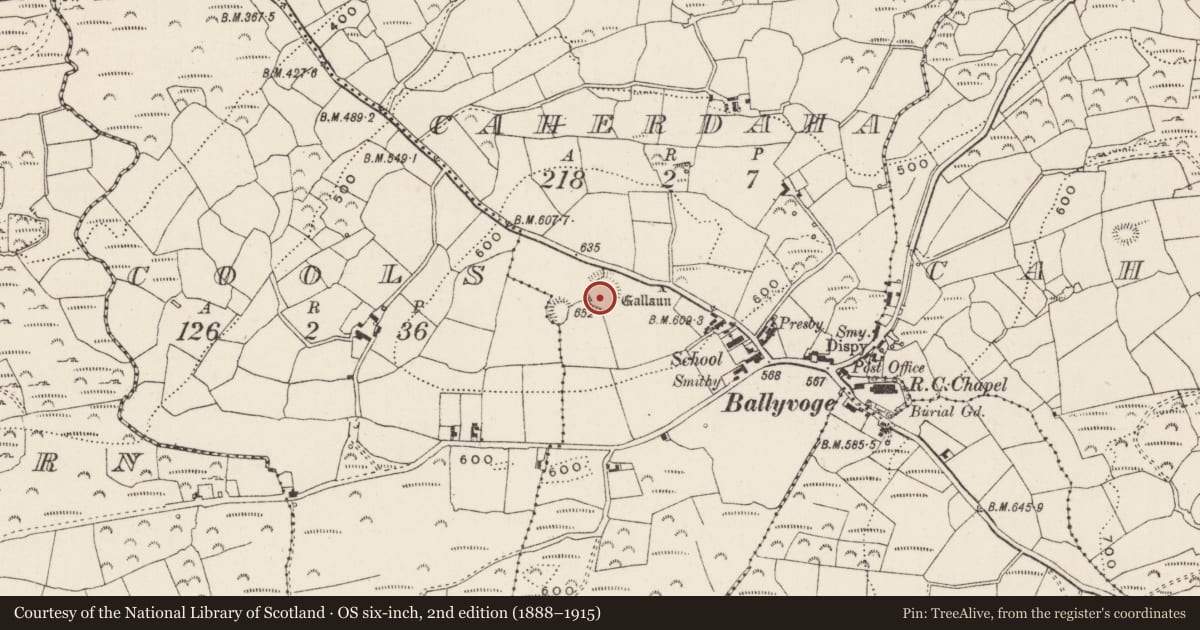 Ordnance Survey six-inch map, 2nd edition (1888–1915) covering the location of Ringfort - rath, Cathair Daithí, County Cork, with a pin at the register's coordinates