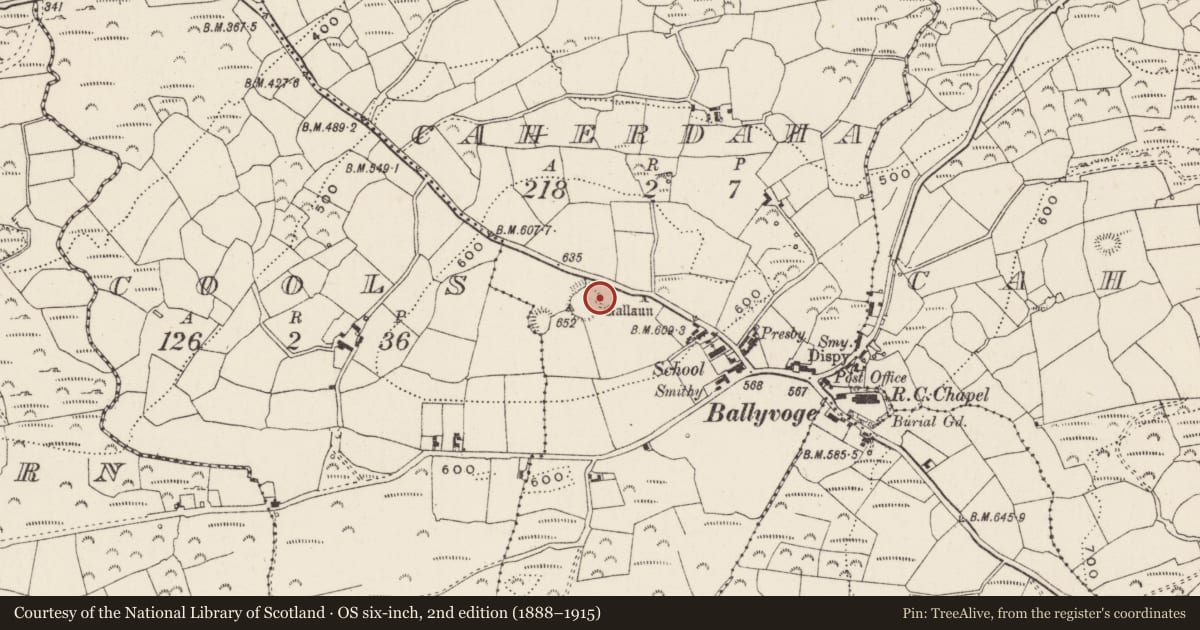 Ordnance Survey six-inch map, 2nd edition (1888–1915) covering the location of Standing stone, Cathair Daithí, County Cork, with a pin at the register's coordinates