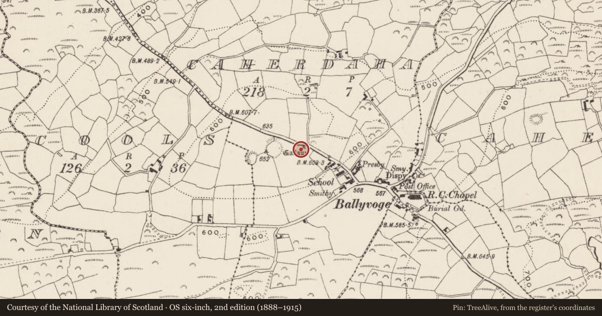 Ordnance Survey six-inch map, 2nd edition (1888–1915) covering the location of Standing stone, Cathair Daithí, County Cork, with a pin at the register's coordinates