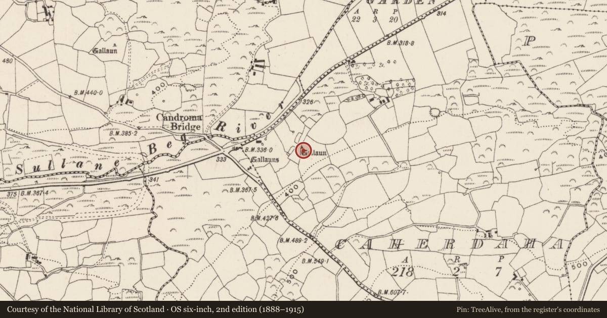 Ordnance Survey six-inch map, 2nd edition (1888–1915) covering the location of Standing stone, Cathair Daithí, County Cork, with a pin at the register's coordinates