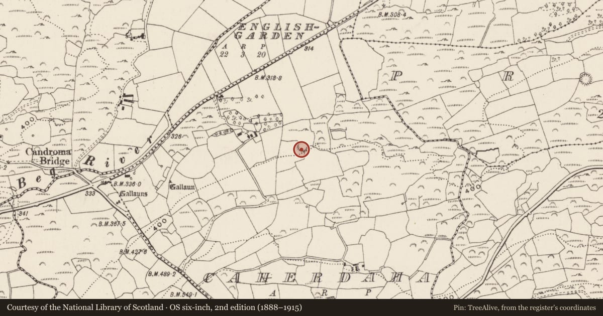 Ordnance Survey six-inch map, 2nd edition (1888–1915) covering the location of Ringfort - rath, Cathair Daithí, County Cork, with a pin at the register's coordinates