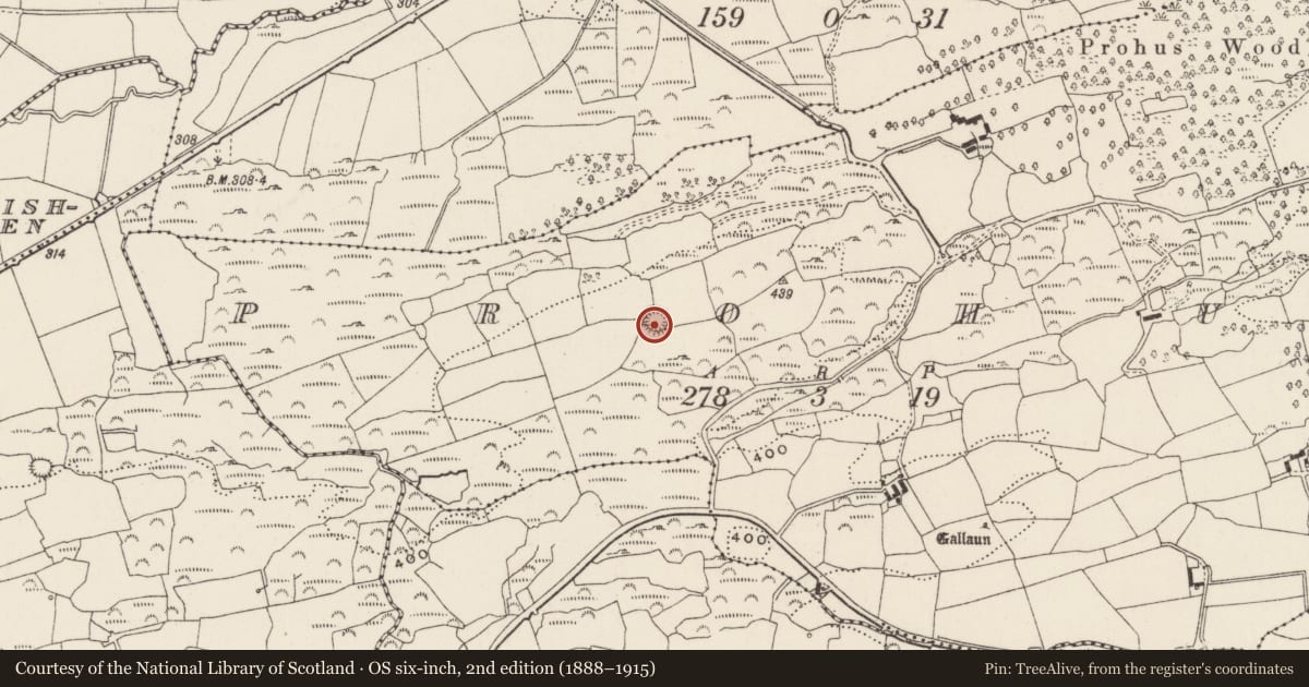 Ordnance Survey six-inch map, 2nd edition (1888–1915) covering the location of Ringfort - rath, Pruchas, County Cork, with a pin at the register's coordinates