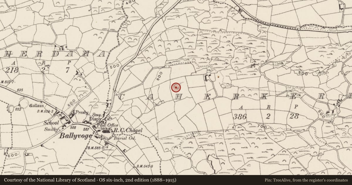 Ordnance Survey six-inch map, 2nd edition (1888–1915) covering the location of Ringfort - rath, Cathair Céirín, County Cork, with a pin at the register's coordinates