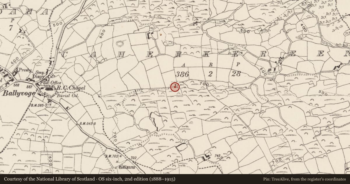 Ordnance Survey six-inch map, 2nd edition (1888–1915) covering the location of House - indeterminate date, Cathair Céirín, County Cork, with a pin at the register's coordinates