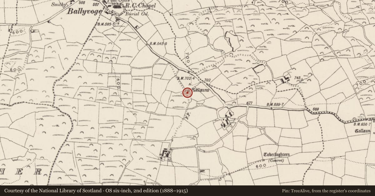 Ordnance Survey six-inch map, 2nd edition (1888–1915) covering the location of Standing stone, Baile An Bhuaidh, County Cork, with a pin at the register's coordinates