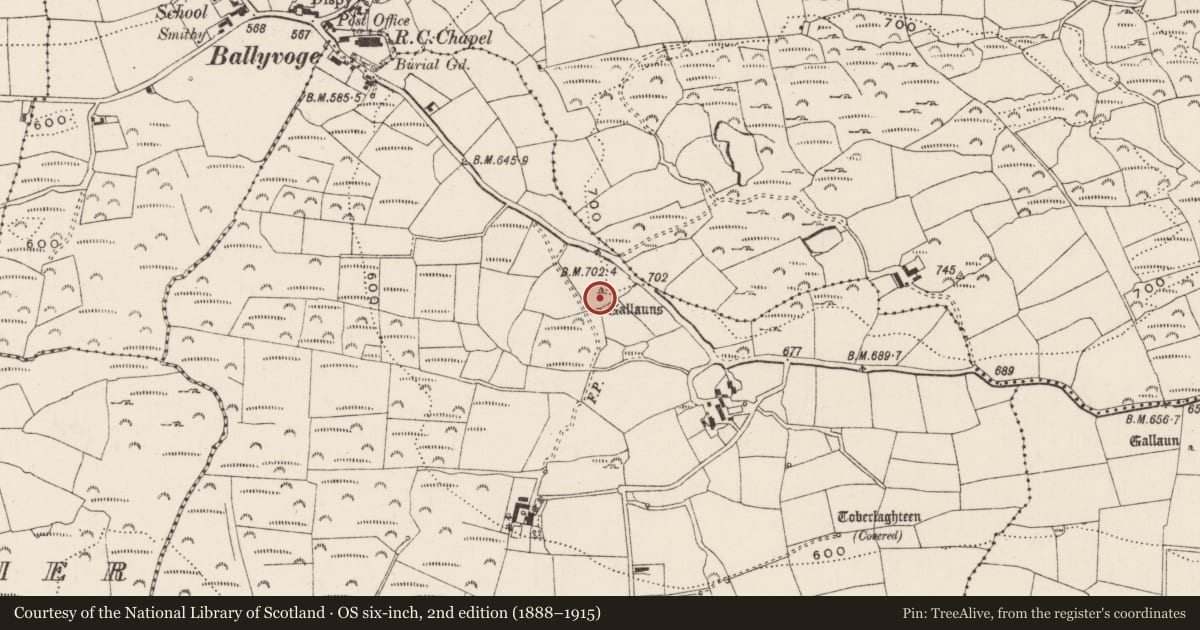 Ordnance Survey six-inch map, 2nd edition (1888–1915) covering the location of Standing stone, Baile An Bhuaidh, County Cork, with a pin at the register's coordinates