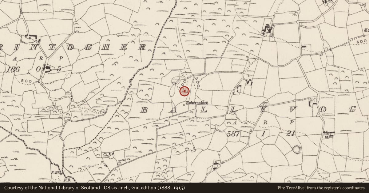 Ordnance Survey six-inch map, 2nd edition (1888–1915) covering the location of Burial ground, Baile An Bhuaidh, County Cork, with a pin at the register's coordinates