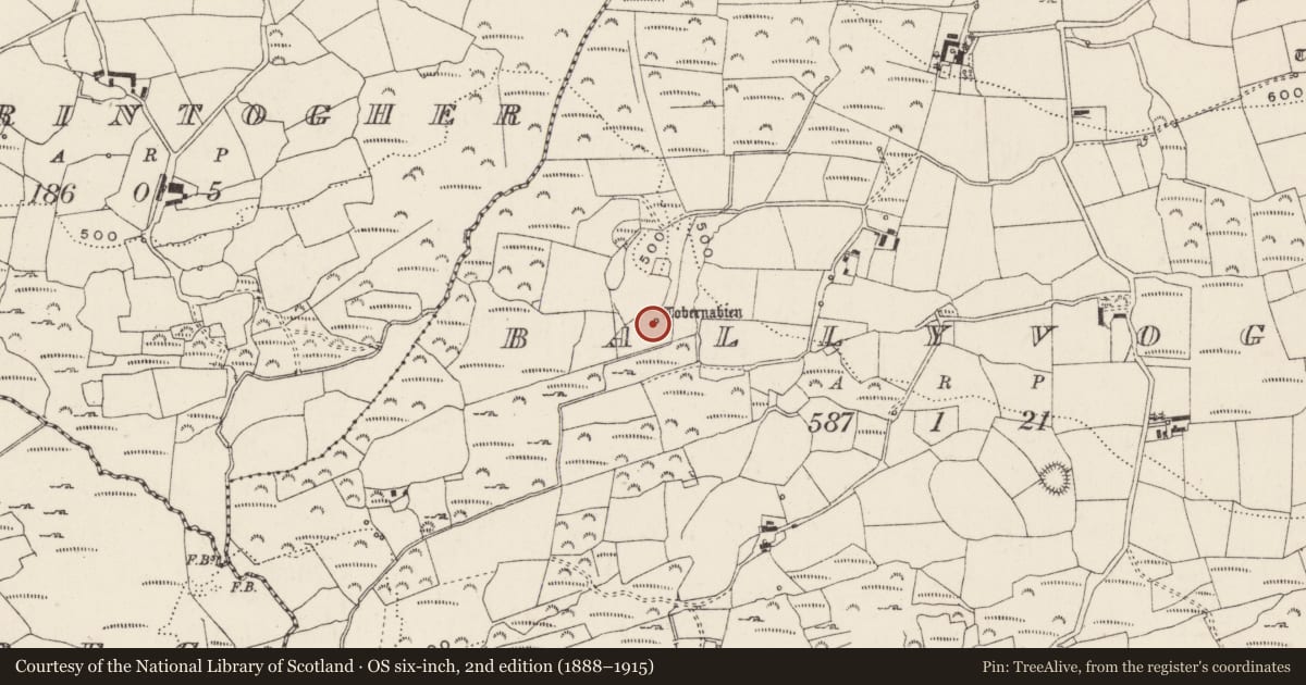 Ordnance Survey six-inch map, 2nd edition (1888–1915) covering the location of Ritual site - holy well, Baile An Bhuaidh, County Cork, with a pin at the register's coordinates