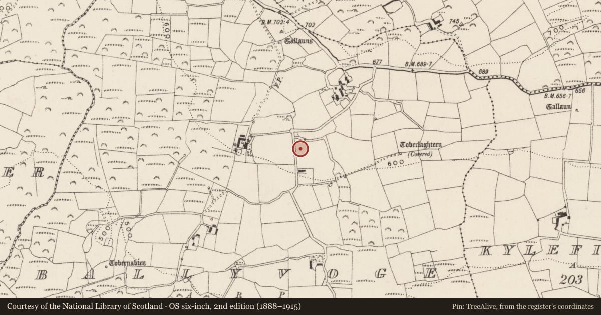 Ordnance Survey six-inch map, 2nd edition (1888–1915) covering the location of Standing stone, Baile An Bhuaidh, County Cork, with a pin at the register's coordinates