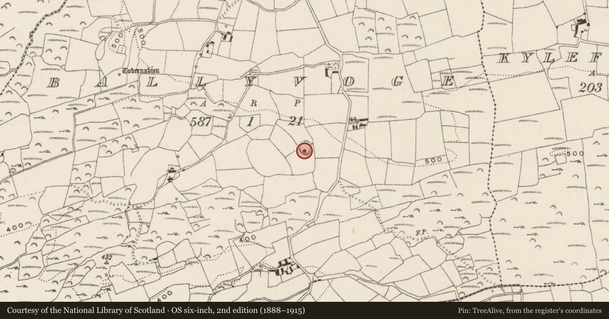 Ordnance Survey six-inch map, 2nd edition (1888–1915) covering the location of Ringfort - rath, Baile An Bhuaidh, County Cork, with a pin at the register's coordinates