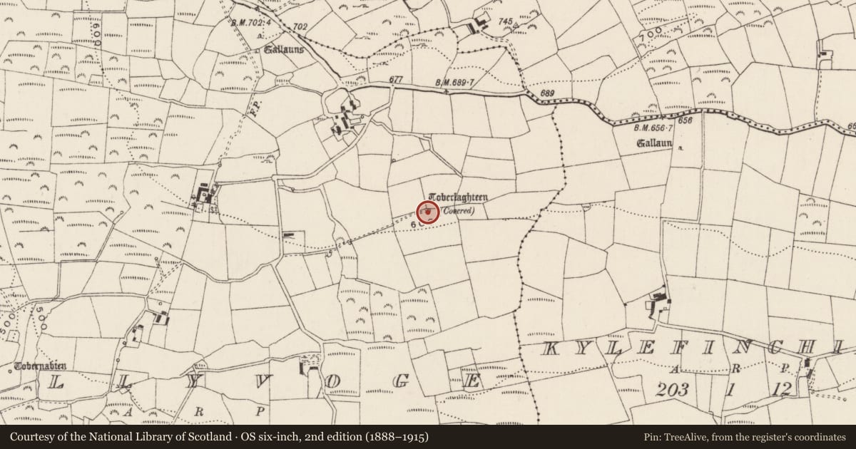 Ordnance Survey six-inch map, 2nd edition (1888–1915) covering the location of Ritual site - holy well, Baile An Bhuaidh, County Cork, with a pin at the register's coordinates