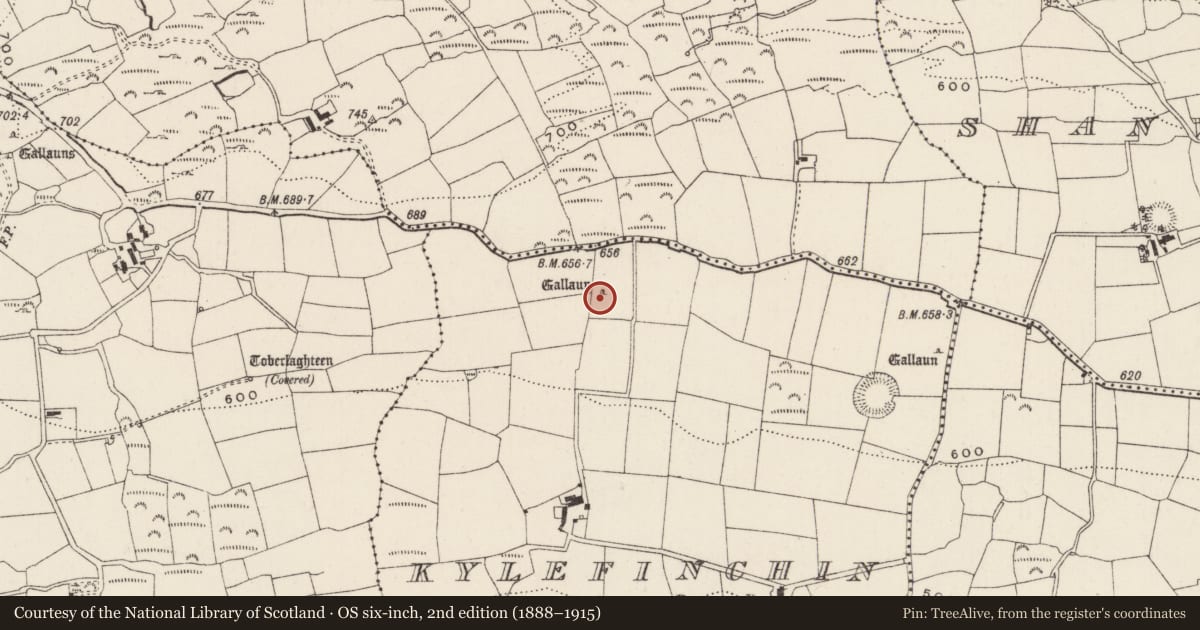Ordnance Survey six-inch map, 2nd edition (1888–1915) covering the location of Standing stone, Caol Fuinseann, County Cork, with a pin at the register's coordinates