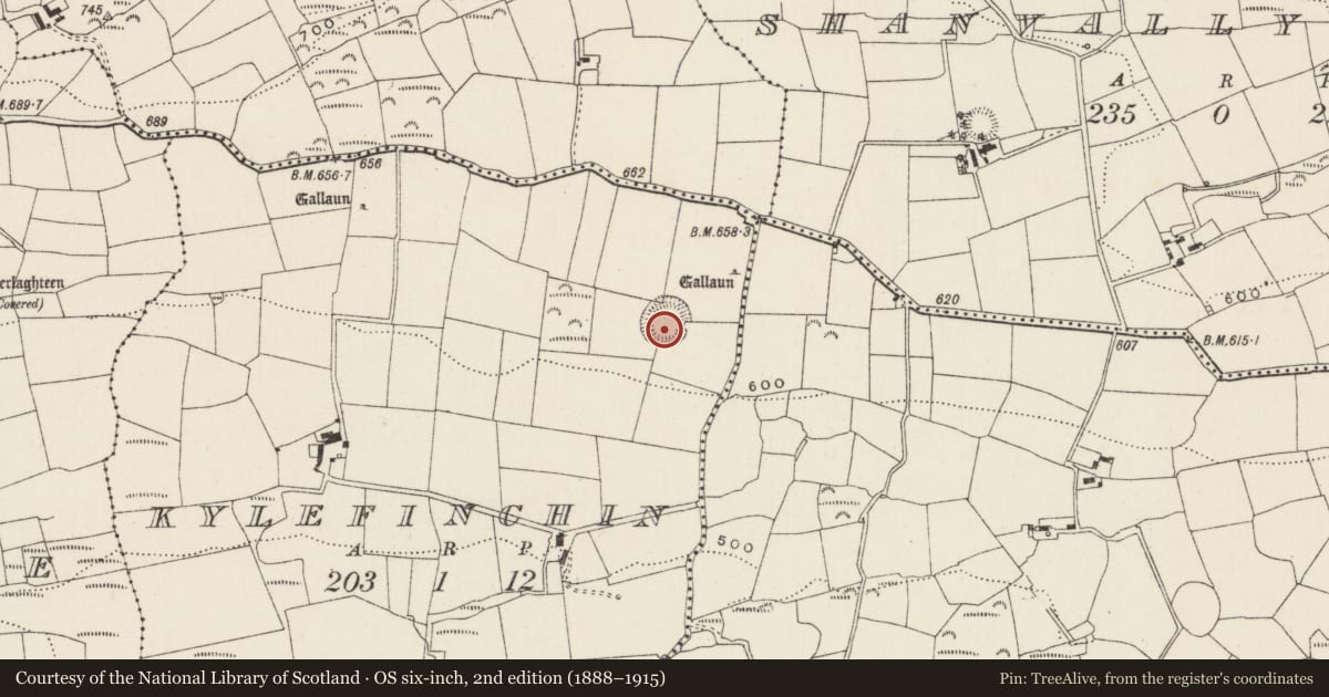 Ordnance Survey six-inch map, 2nd edition (1888–1915) covering the location of Ringfort - rath, Caol Fuinseann, County Cork, with a pin at the register's coordinates
