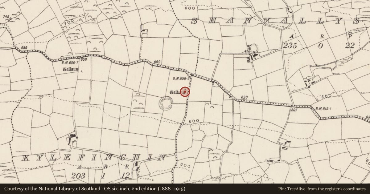 Ordnance Survey six-inch map, 2nd edition (1888–1915) covering the location of Standing stone, Caol Fuinseann, County Cork, with a pin at the register's coordinates