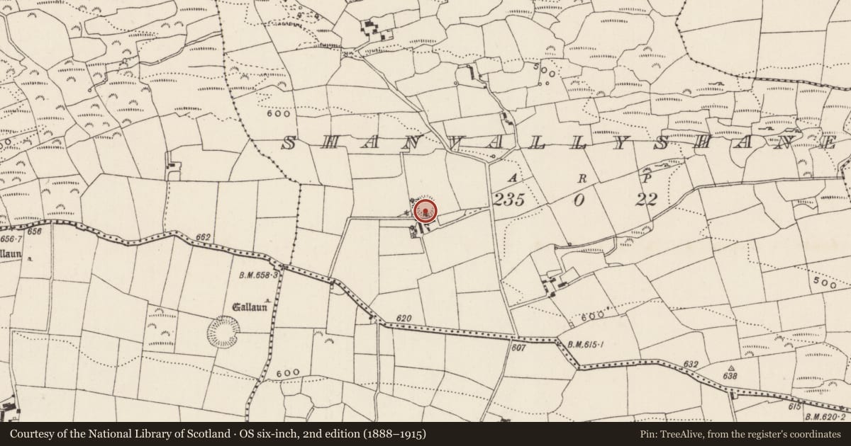 Ordnance Survey six-inch map, 2nd edition (1888–1915) covering the location of Souterrain, Seanbhaile Sheáin, County Cork, with a pin at the register's coordinates
