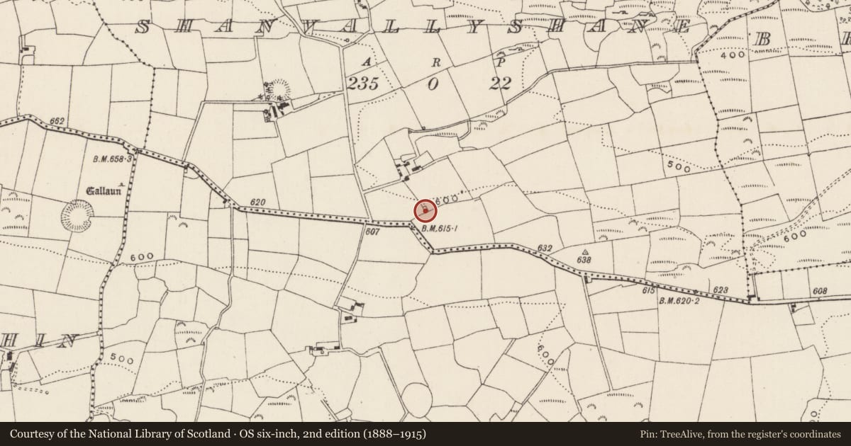 Ordnance Survey six-inch map, 2nd edition (1888–1915) covering the location of Kiln - lime, Seanbhaile Sheáin, County Cork, with a pin at the register's coordinates