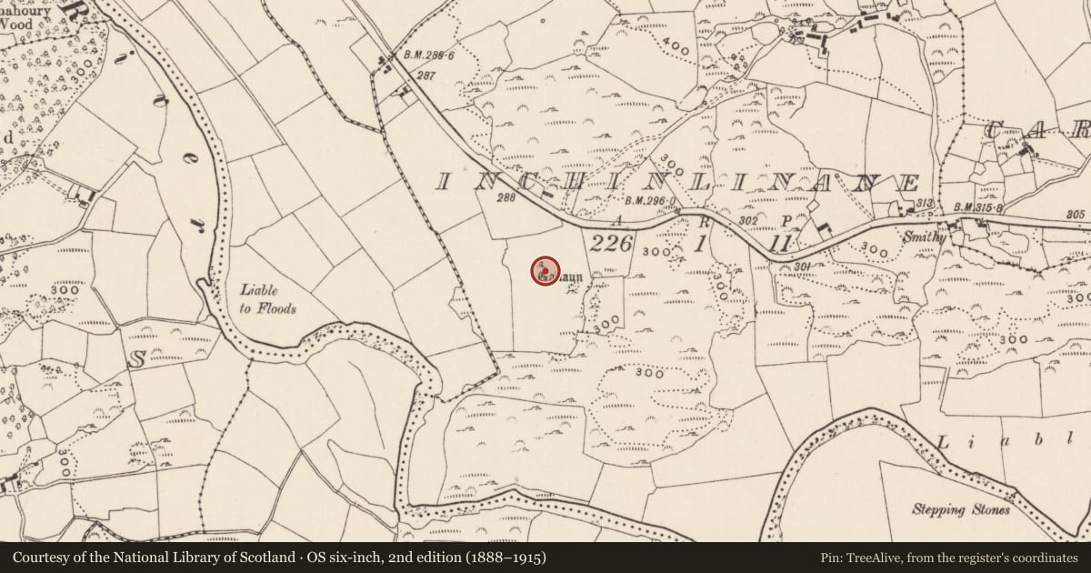 Ordnance Survey six-inch map, 2nd edition (1888–1915) covering the location of Standing stone, Inchinlinane, County Cork, with a pin at the register's coordinates