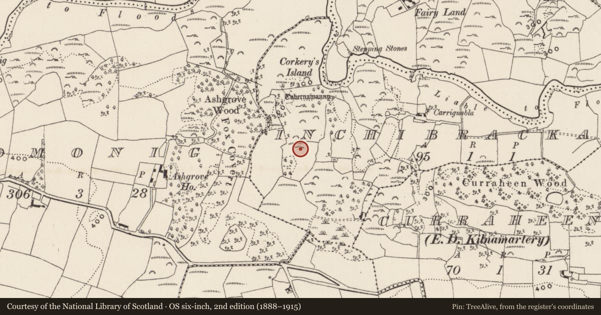 Ordnance Survey six-inch map, 2nd edition (1888–1915) covering the location of Ritual site - holy well, Inchibrackane, County Cork, with a pin at the register's coordinates