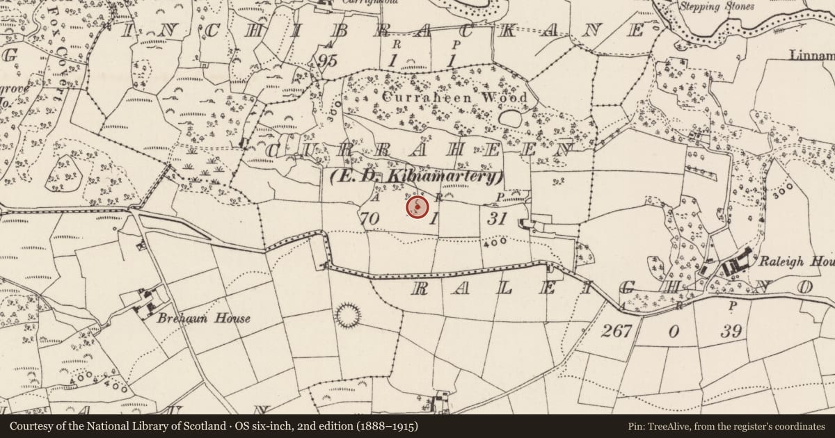 Ordnance Survey six-inch map, 2nd edition (1888–1915) covering the location of Fulacht fia, Curraheen (Muskerry West By., Kilnamartery Par.), County Cork, with a pin at the register's coordinates