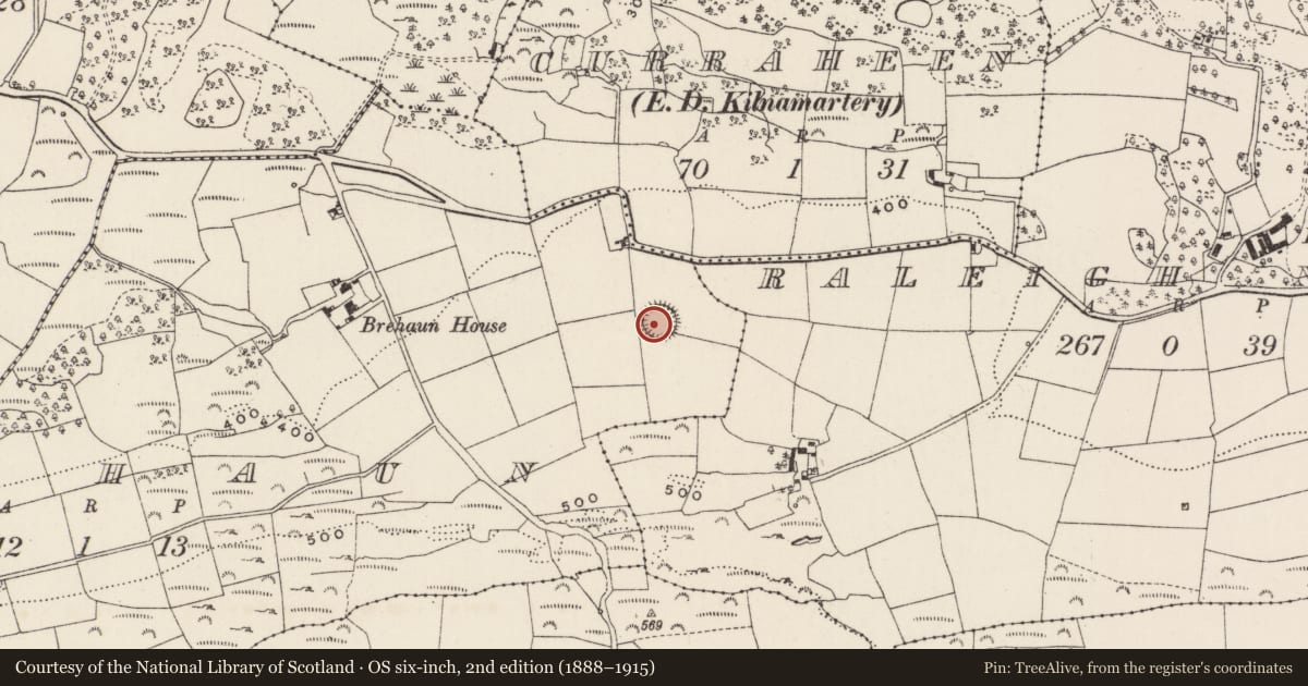Ordnance Survey six-inch map, 2nd edition (1888–1915) covering the location of Ringfort - rath, Brachán, County Cork, with a pin at the register's coordinates