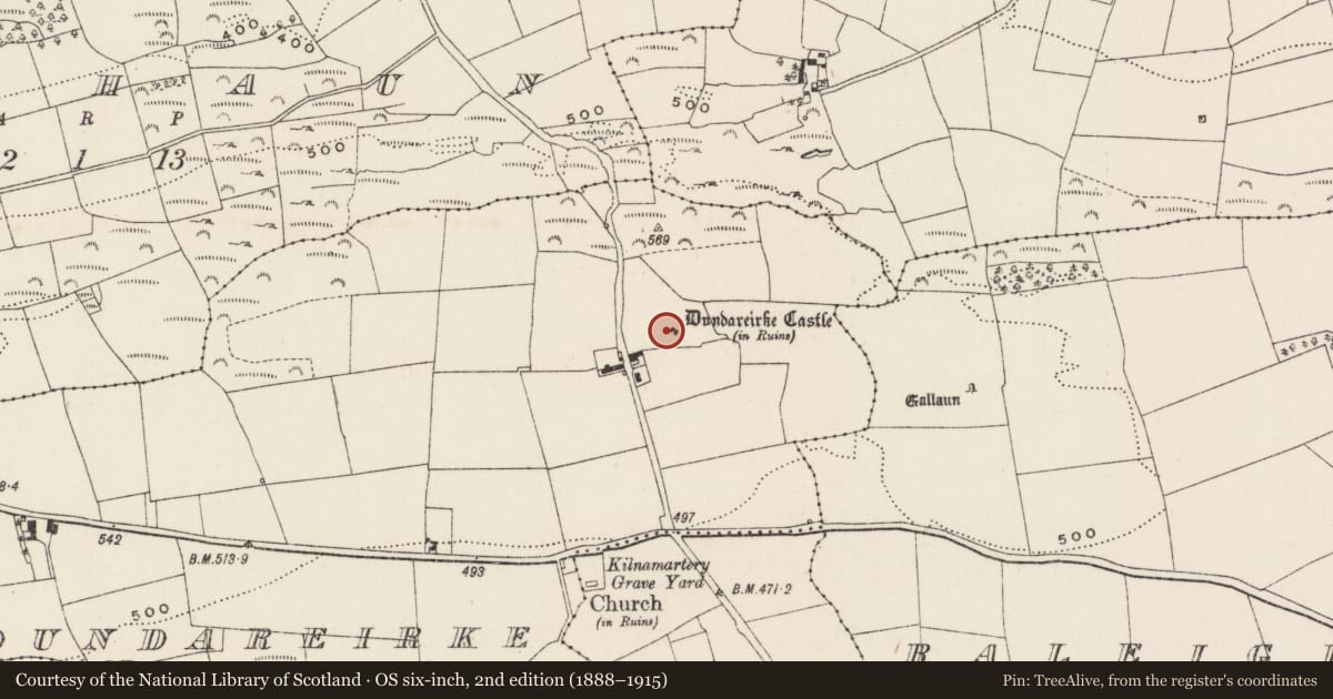 Ordnance Survey six-inch map, 2nd edition (1888–1915) covering the location of Castle - tower house, Dún Dea-Radhairc, County Cork, with a pin at the register's coordinates